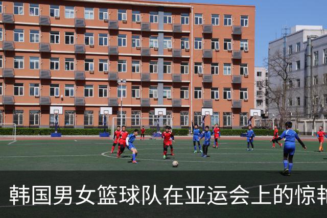 韩国男女篮球队在亚运会上的惊艳表现，引发热议与关注